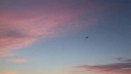 Fototapeta premium Gradient sunset sky with orange to pink tones