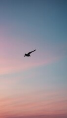 Fototapeta premium Bird flying against gradient sky transitioning from light to dark hues