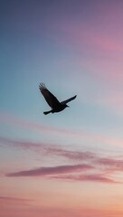 Fototapeta premium Eagle soaring through pink and purple skies during sunrise or sunset