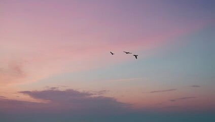Two birds flying at dusk against soft hues of a sunset