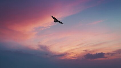Bird flying at sunset with pink, orange, and blue clouds