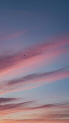 Naklejka premium Split-screen of person at sunset and bird silhouette in gray sky
