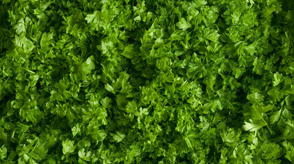 Fototapeta premium a close-up, top-down view, texture background of parsley puree filling the frame with its vibrant green color and smooth consistency