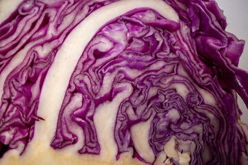 Close-Up Views of Fresh Purple Cabbage Texture