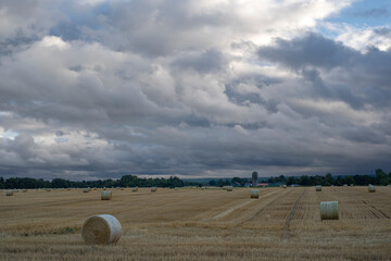 Rolled round hay bales haystacks in mown field with heavy dark rain storm clouds over it. Farming, agriculture, harvest, pasture, livestock concept. 