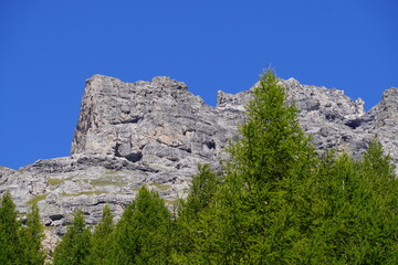 PAESAGGIO ALPINO