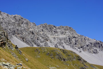 ALPI