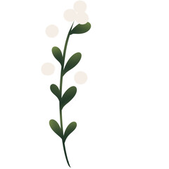 Christmas flowers 