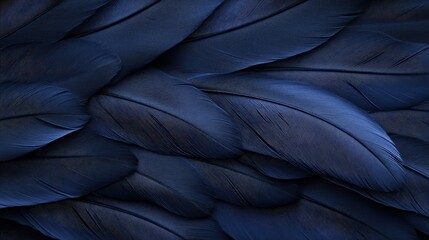 Obraz premium Elegant Dark Blue Feather Texture Close-up with Intricate Patterns and Soft Lighting for Design and Fashion Concepts