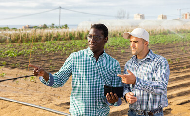 Confident african american agronomist holding smartphone and discussing working process with farmer at agricultural field on sunny summer day