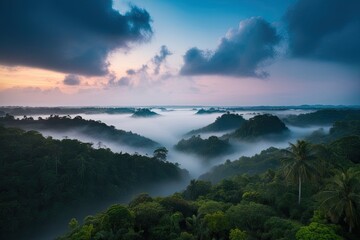 Aerial View of Tropical Splendor in Misty Enigmatic Valley at Dawn