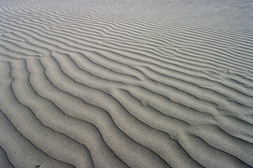延々と広がる太平洋。広大な砂浜が広がっている。砂地に根を生やしてしっかりと大地を捕まえている海浜の植物たちが、海風に呼応してそよいでいる。のどかな風景。時が経つのも忘れて私はこの景色を眺めていた。海鳴りが遠くから私を呼んでいるように聞こえた。一瞬、我に返った私。今、地球は泣いている。温暖化という重大な危機を迎え、偉大な地球が、今、悲鳴を上げている。私たちは何をなすべきか、できることは何か。