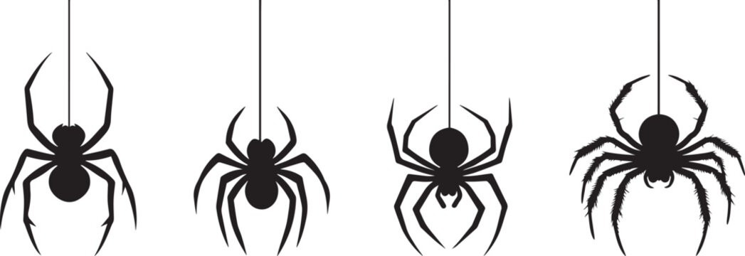 Silhouette of a spider hanging from a web, halloween vector