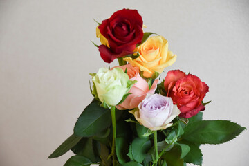 カラフルなばら