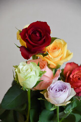 カラフルなバラ