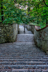 Prague, Czech Republic - July 19, 2024: Hiking trails and pathways in the hills around the Petrin Tower in Prague in the Czech Republic
