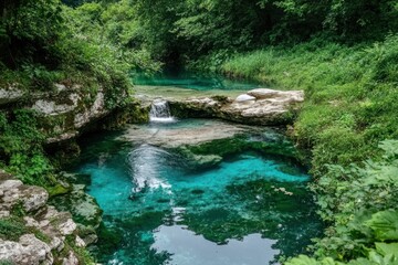 Fototapeta premium Crystal Clear Natural Spring Pool in Lush Greenery