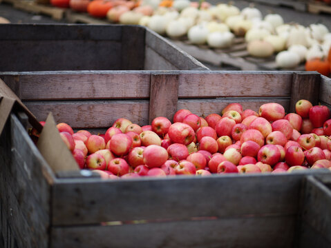 Crate of apples