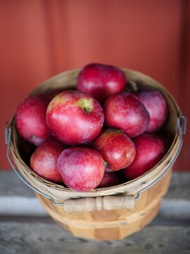Red apples in a basket