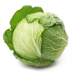 Fototapeta premium fresh green cabbage on a white background