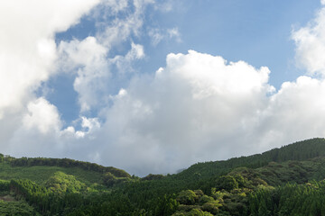 Fototapeta premium 青空の雲