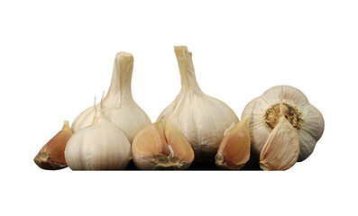 group of garlic isolated