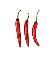three red hot chili peppers isolated