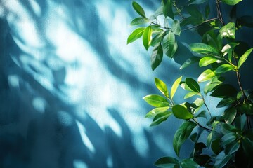 Naklejka premium Sunlit Greenery: Tranquil green leaves and branches frame a blue wall, dappled with light and casting delicate shadows, creating a serene and inviting backdrop. 
