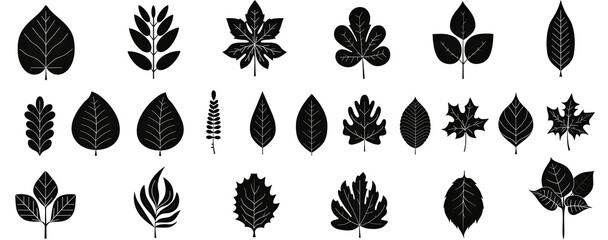 set of silhouettes of leaves on white