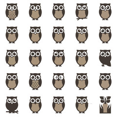 Obraz premium set of owls