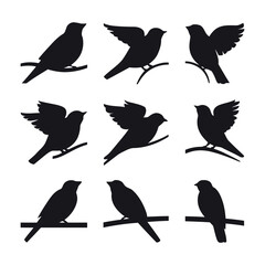 Fototapeta premium set of silhouettes of birds