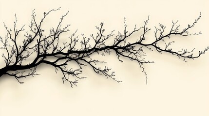 Obraz premium Silhouette of a tree branch on a