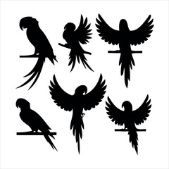 Obraz premium set of eagle