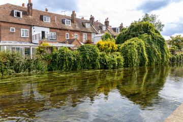Obraz premium Landscape view of the Stour River running through the town of Canterbury, on July 26, 2024 in Kent, England, UK.
