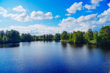 The landscape of Hillsborough river and lettuce park at Tampa, Florida