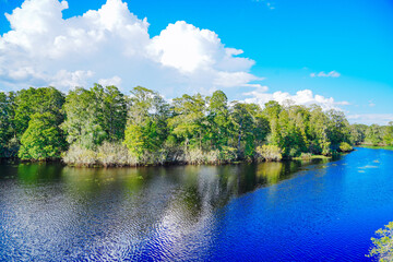 Obraz premium The landscape of Hillsborough river and lettuce park at Tampa, Florida 