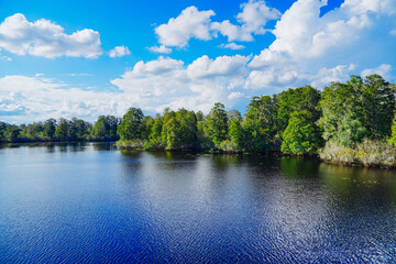 The landscape of Hillsborough river and lettuce park at Tampa, Florida