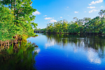 The landscape of Hillsborough river and lettuce park at Tampa, Florida