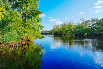 Fototapeta premium The landscape of Hillsborough river and lettuce park at Tampa, Florida