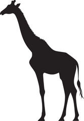 giraffe silhouette isolated on white