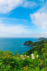 四国の横浪黒潮ラインからの海