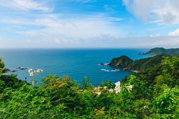四国の横浪黒潮ラインからの海