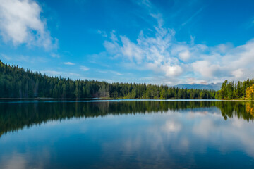 Obraz premium lake and forest