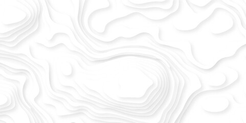 Wave paper cut background. map line of topography. Abstract design with black and white abstract background 