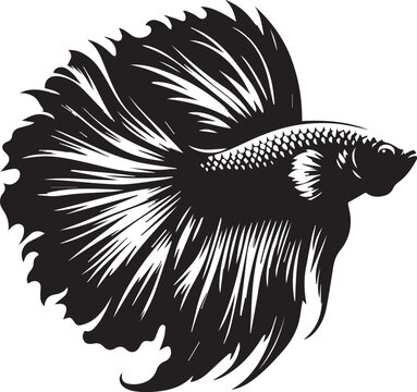 recommend clip art: Betta silhouette vector black and white