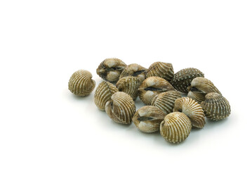 Fresh cockles on white background