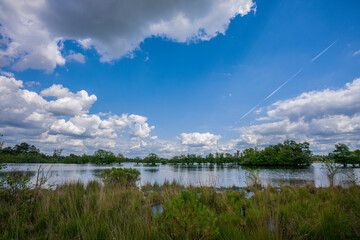 Naturschutzgebiet bei Hilvarenbeek - Niederlande