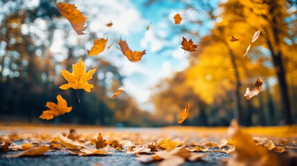 A background of maple leaves falling from the sky, detailed