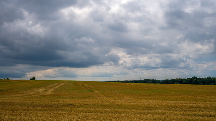 Fototapeta premium ein Feld vor bewölktem Himmel