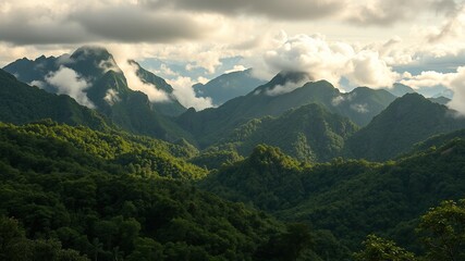 Naklejka premium Elevated terrain unfolds amidst dense rainforest, with rugged peaks and cloud-capped summits rising above verdant valleys, shrouded in mist and morning sunlight.